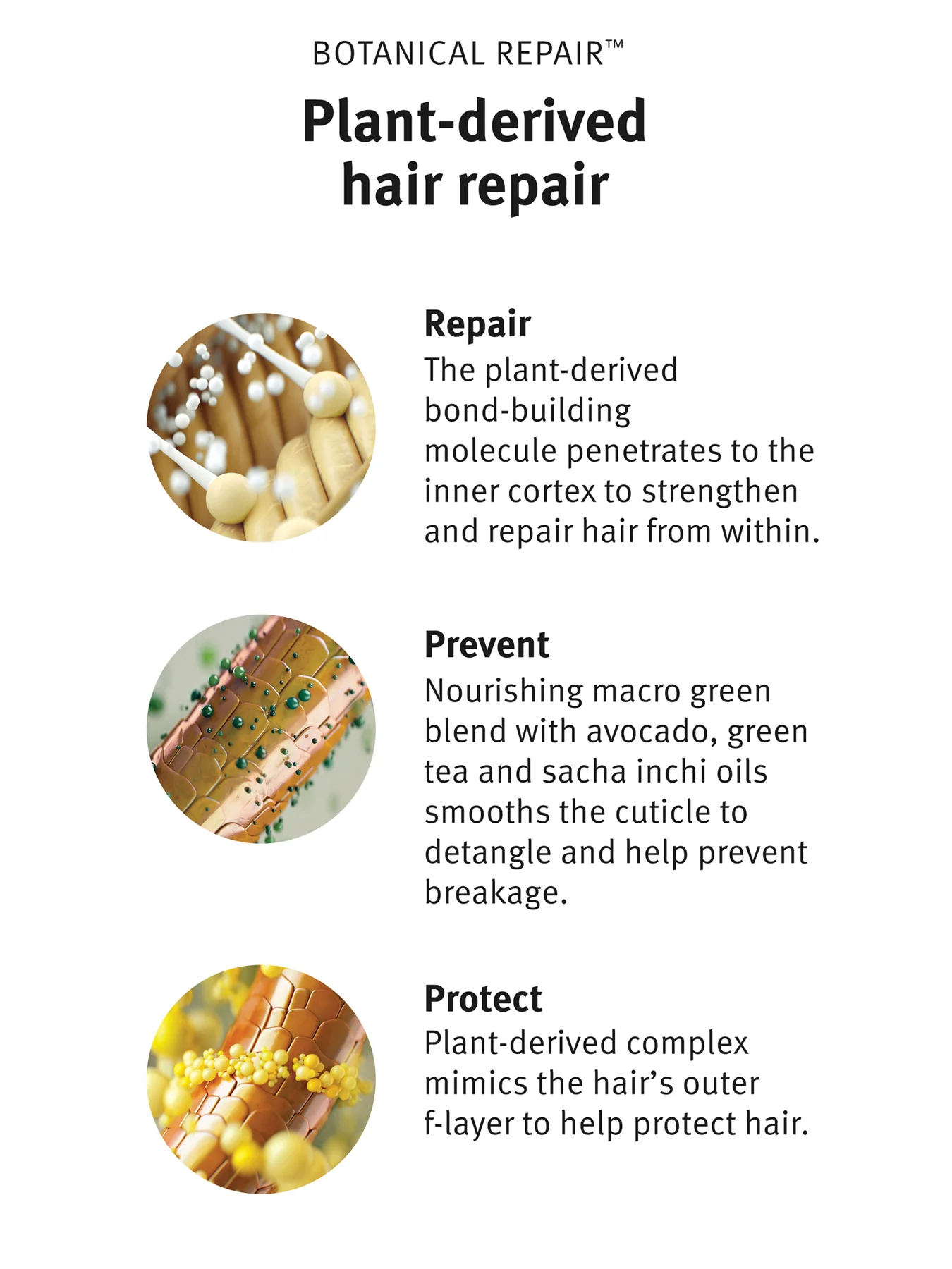 Botanical Repair™ Strengthening Overnight Serum - Image 4