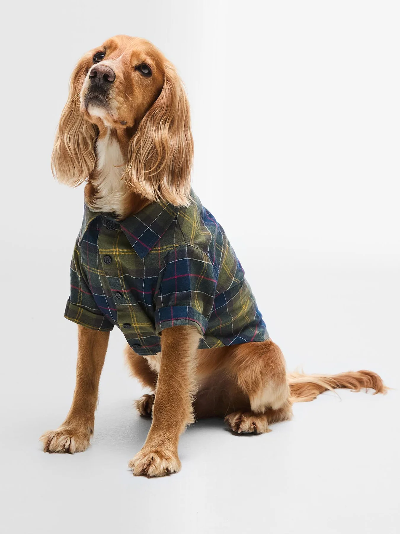 Barbour Fortrose Dog Shirt Classic Tartan Medium - Image 2