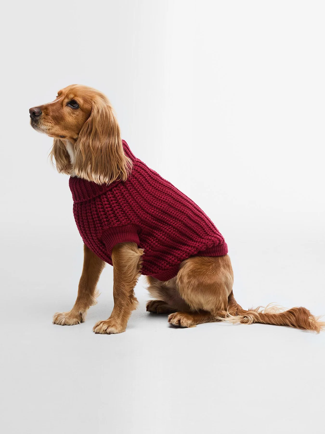 Saltburn Dog Jumper Biking Red Medium - Image 5