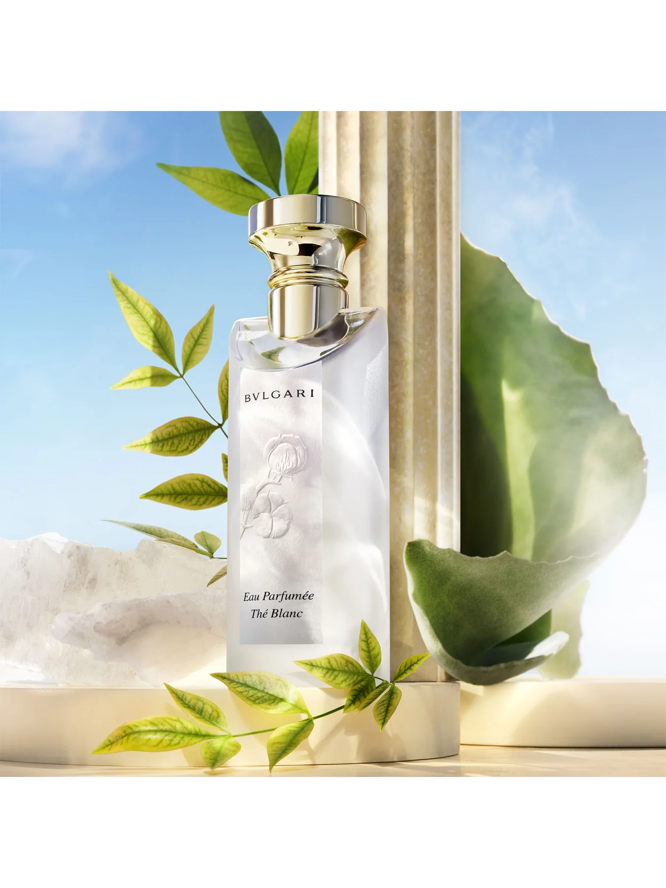 Eau Parfumee The Blanc Eau de Toilette 75ml - Image 3
