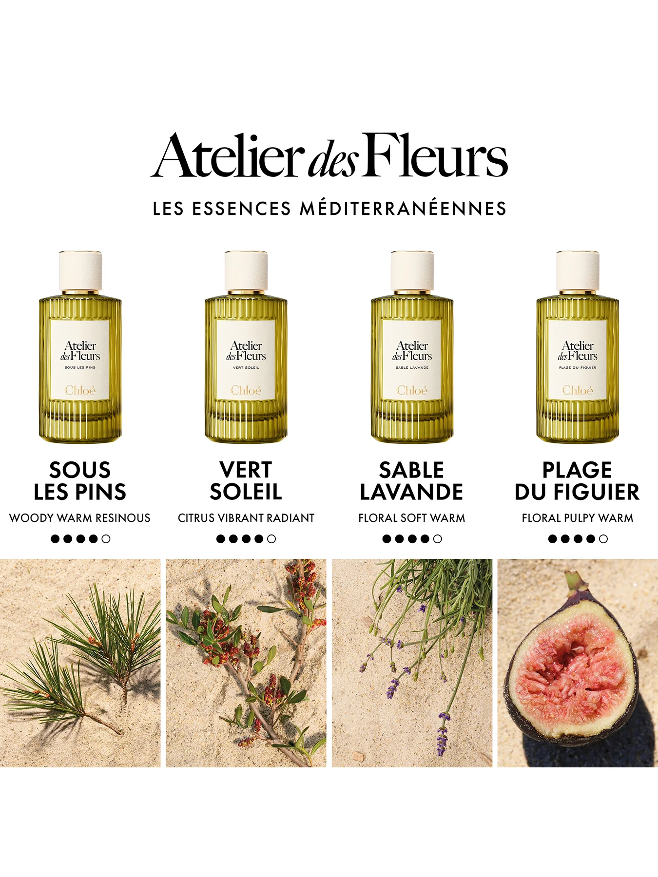 Atelier Des Fleurs Vert Soleil Eau de Parfum 50ml - Image 4