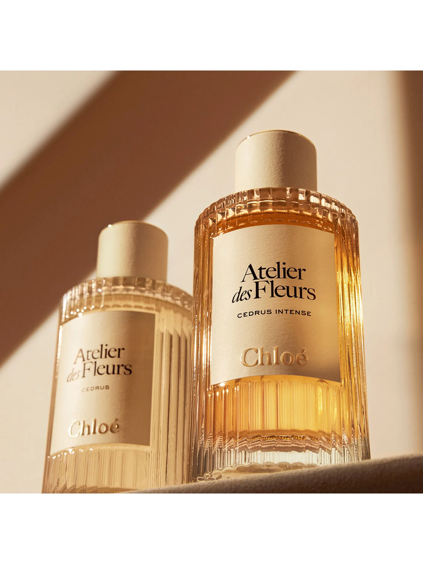 Atelier des Fleurs Cedrus Intense Eau de Parfum 50ml - Image 5
