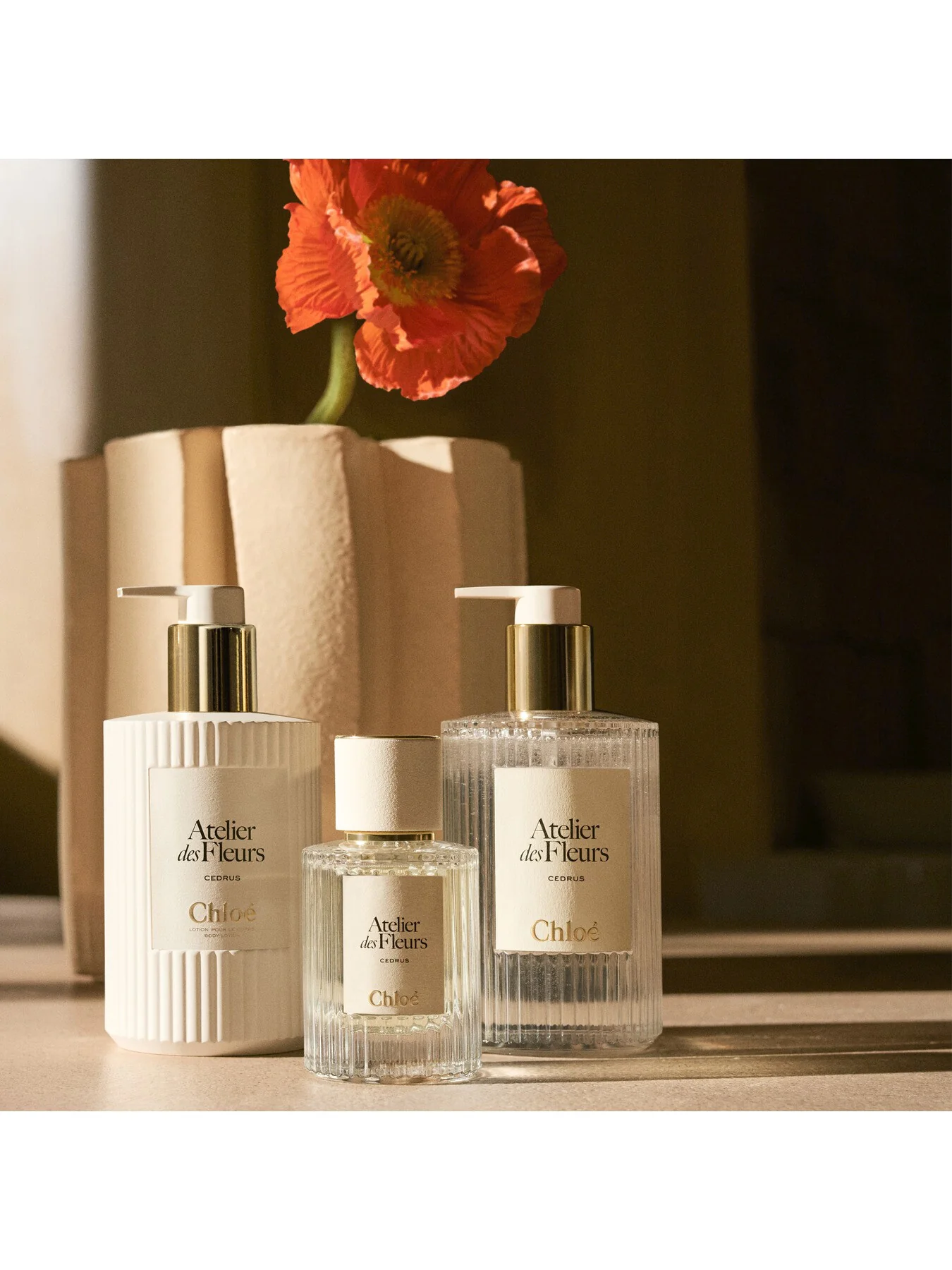 Chloé Atelier des Fleurs Cedrus Perfumed Body Lotion, 300ml - Image 4