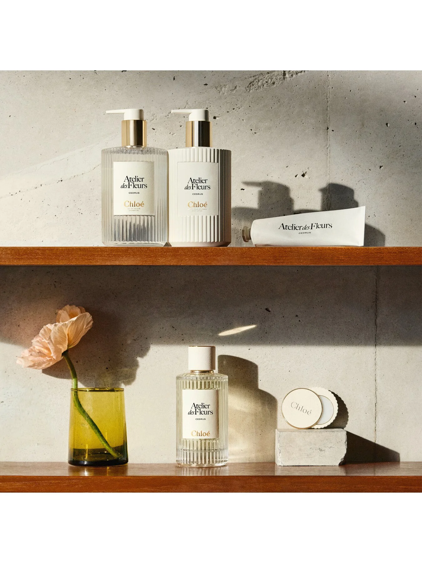 Chloé Atelier des Fleurs Magnolia Alba Perfumed Body Lotion, 300ml - Image 5