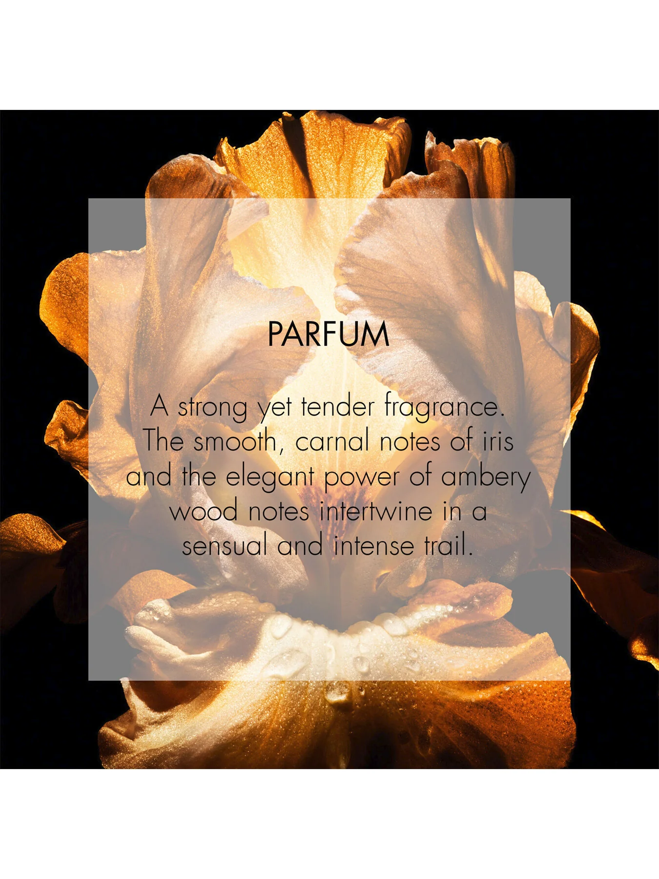 Dior Homme Parfum 50ml - Image 3