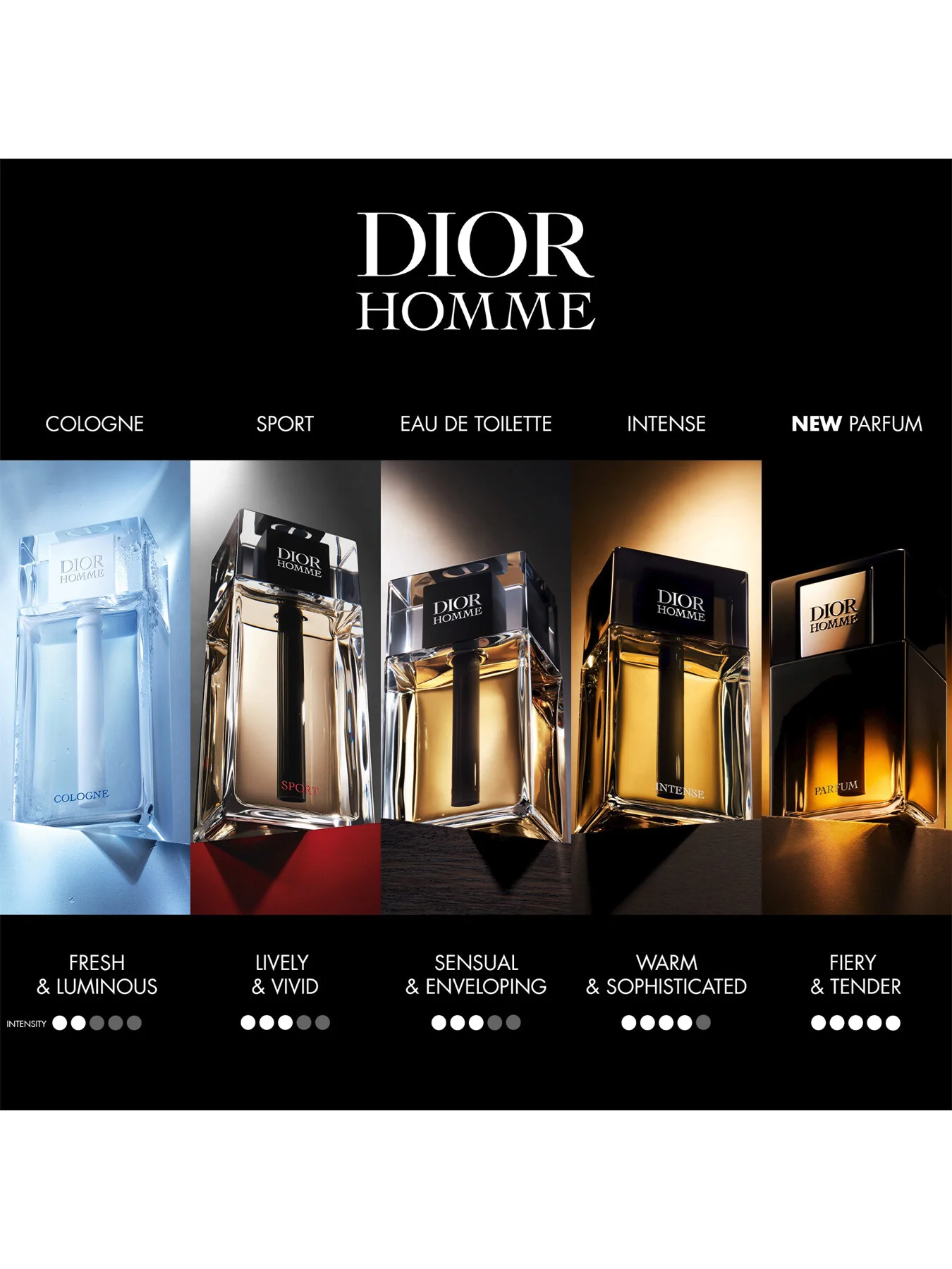Dior Homme Parfum 75ml - Image 4