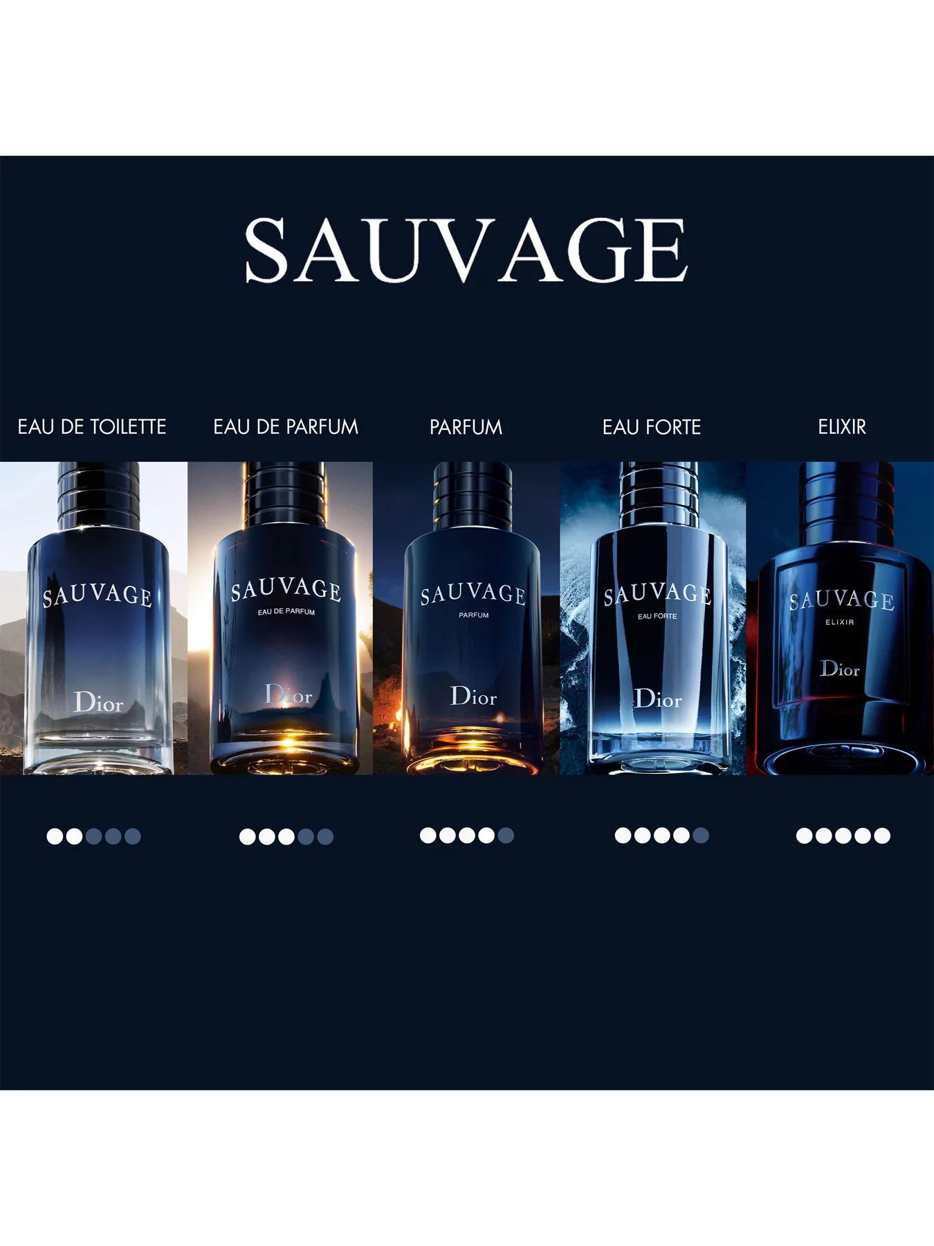 Sauvage Spray for the Wild Parfum 30ml Limited Edition - Image 4