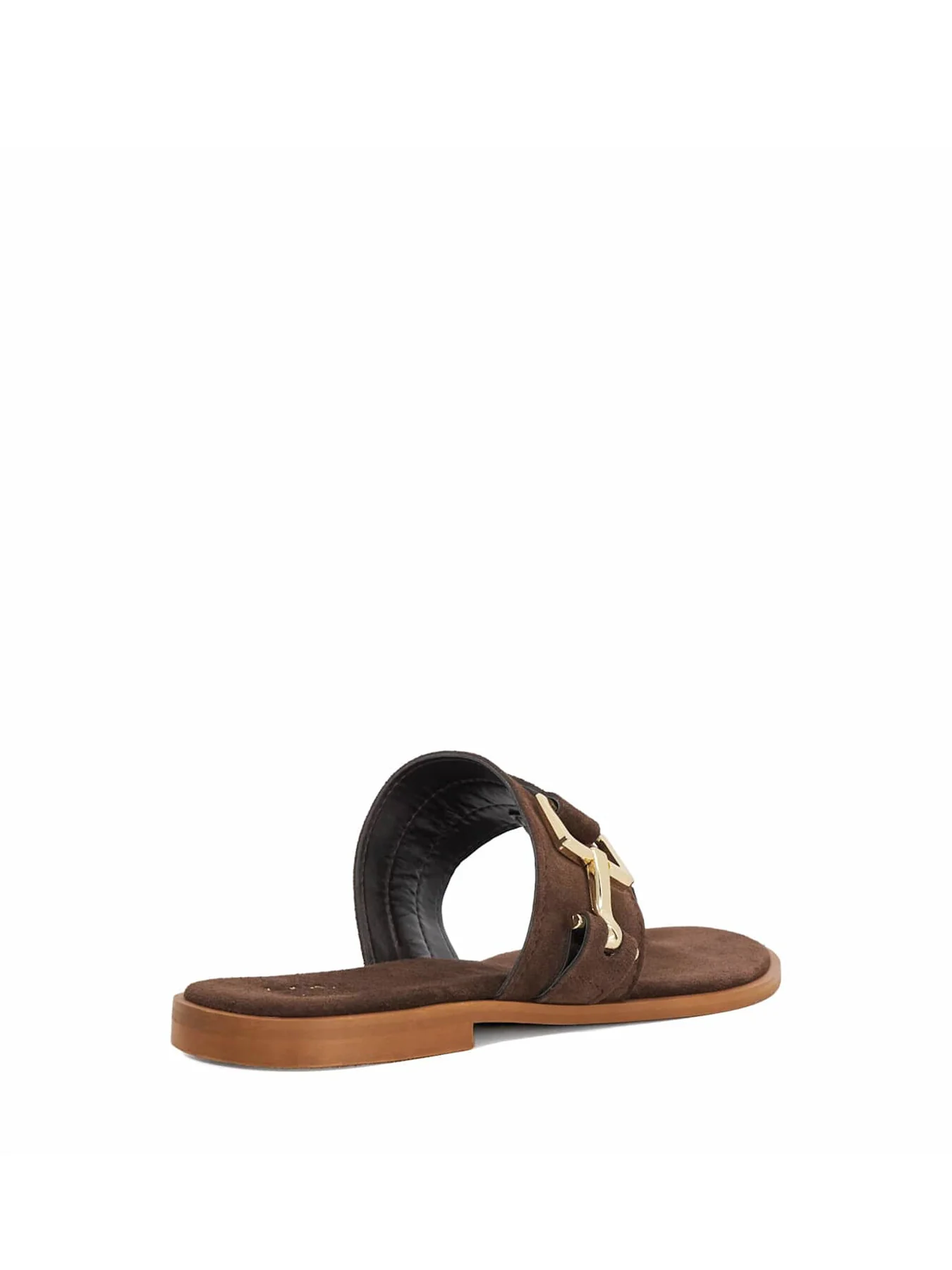 LOTICA - Image 5
