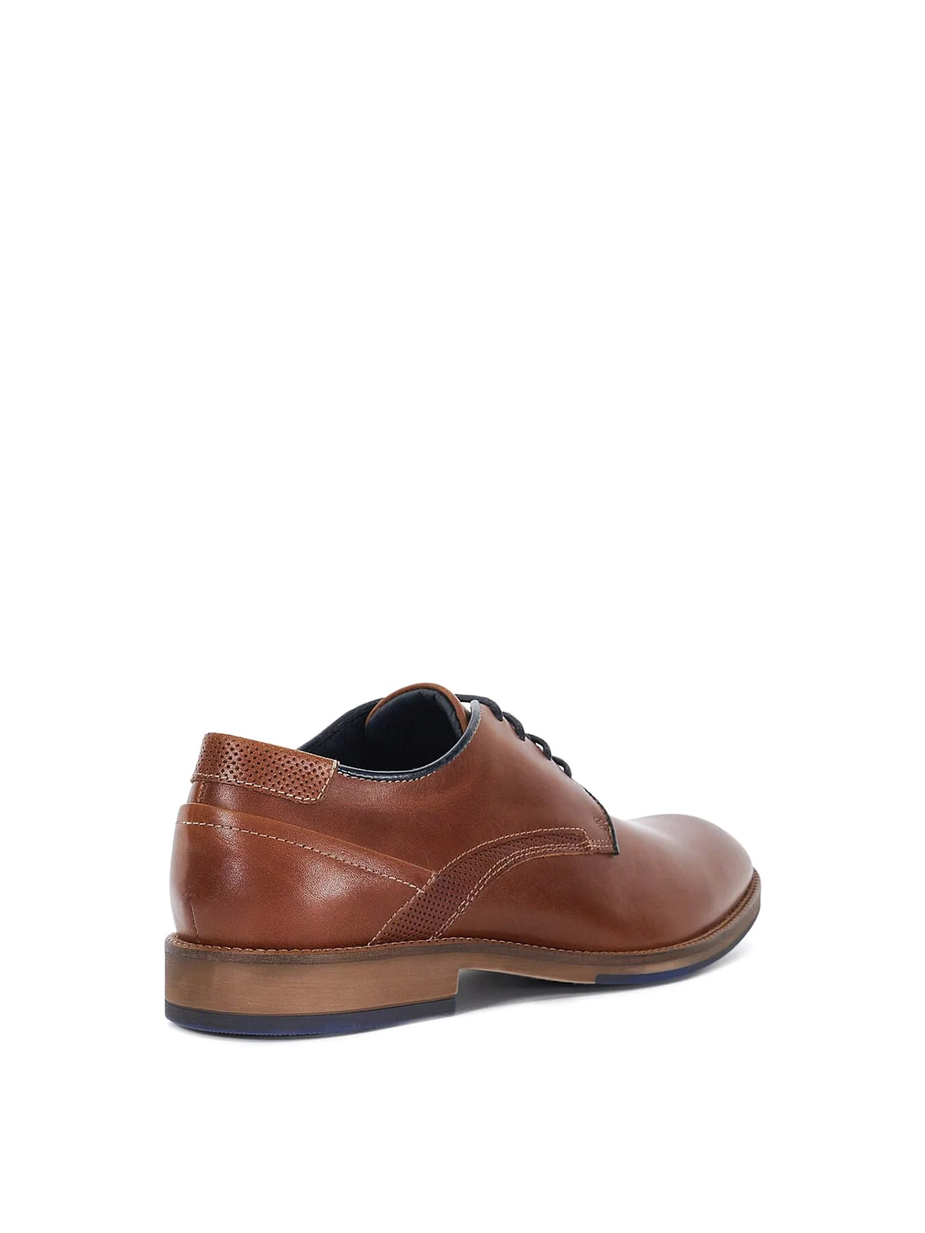 WF BRIDON - Image 2
