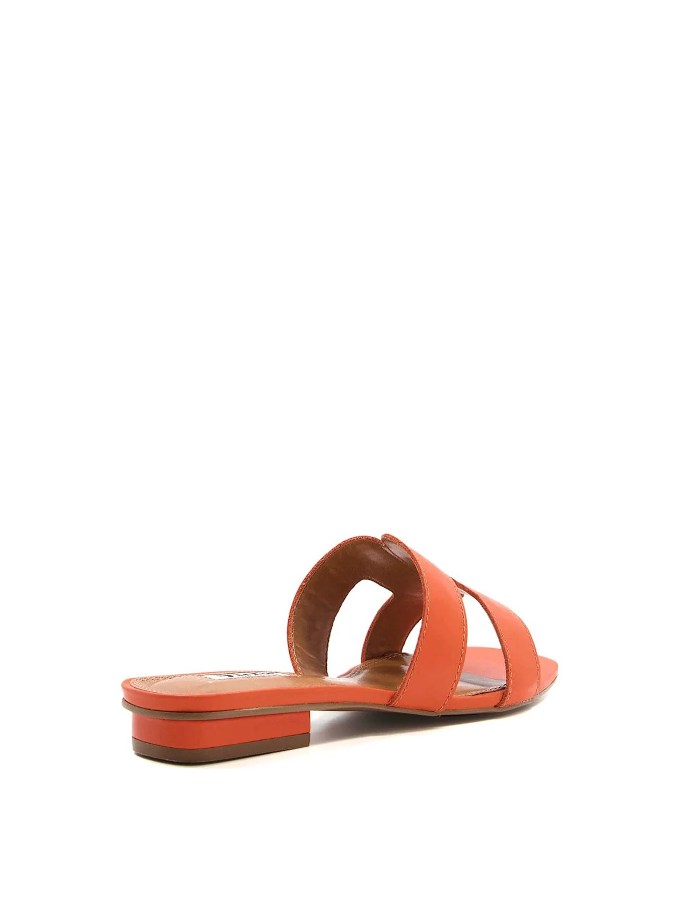 WF LOUPE - Image 2