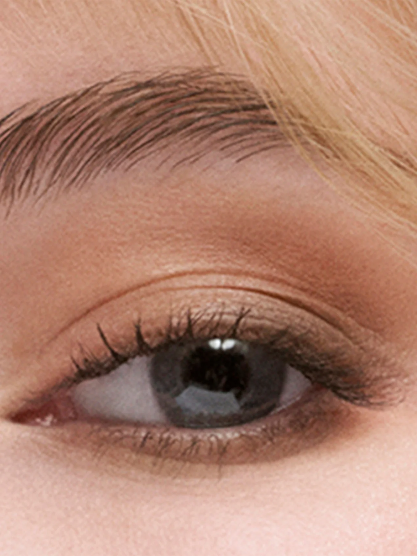 The Essential Eyeshadow Quad - Image 3