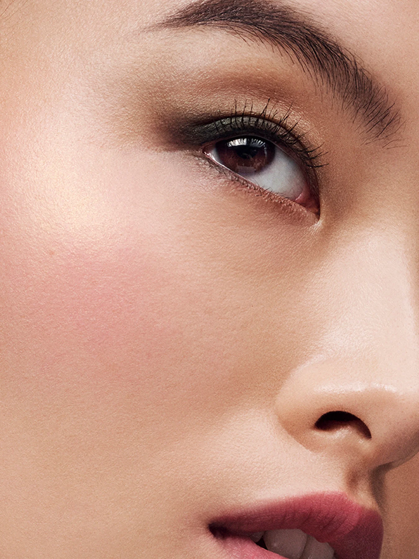 The Sculpting Blush - Image 11