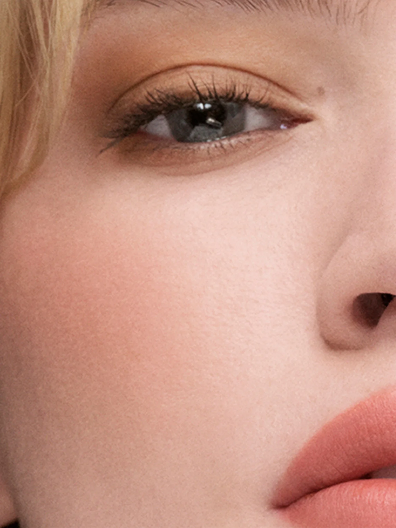 The Sculpting Blush - Image 15