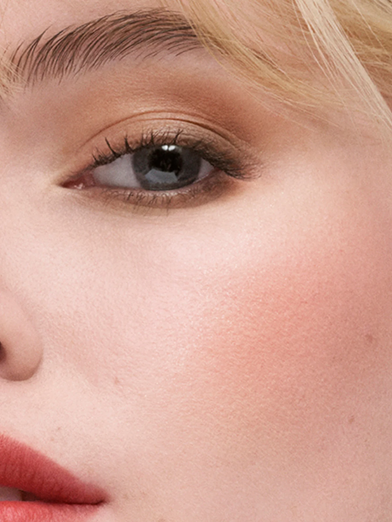 The Sculpting Blush - Image 27
