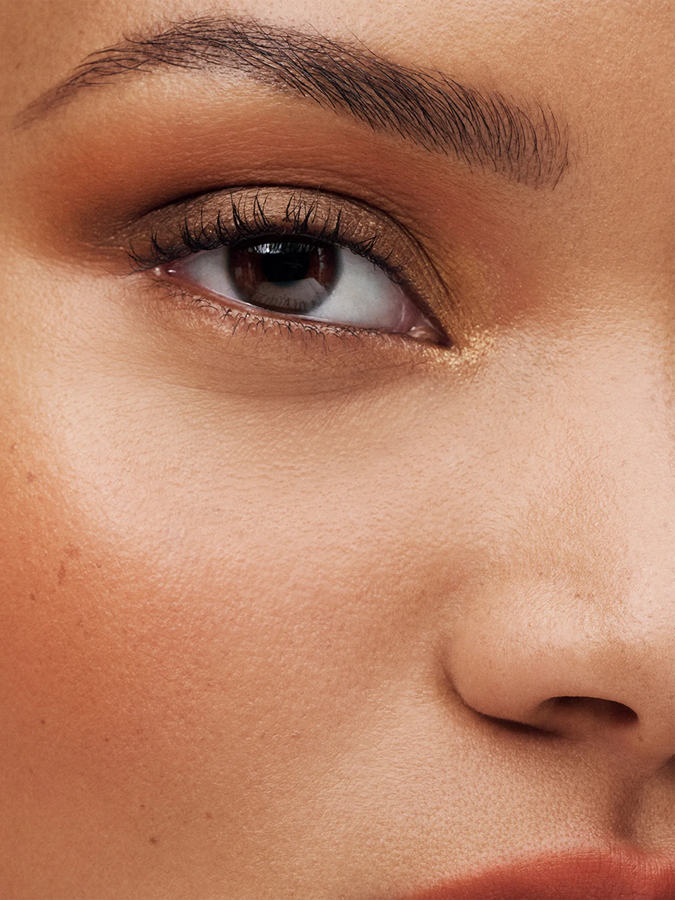 The Sculpting Blush - Image 31