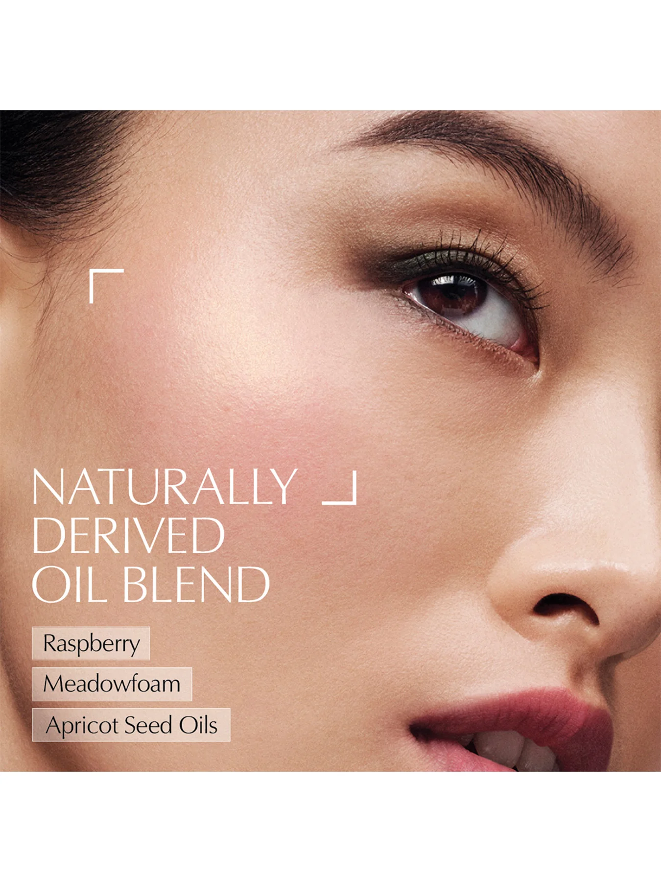 The Sculpting Blush - Image 4