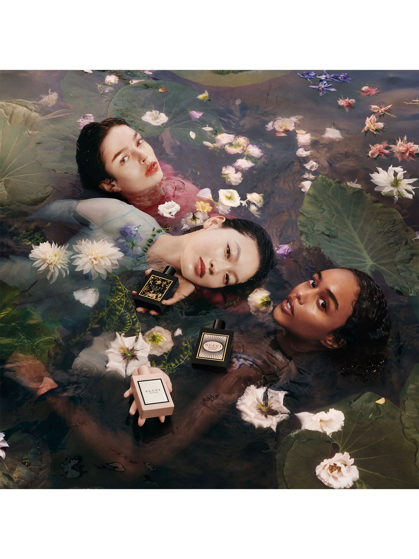 Gucci Bloom Eau de Parfum For Her 50ml - Image 3