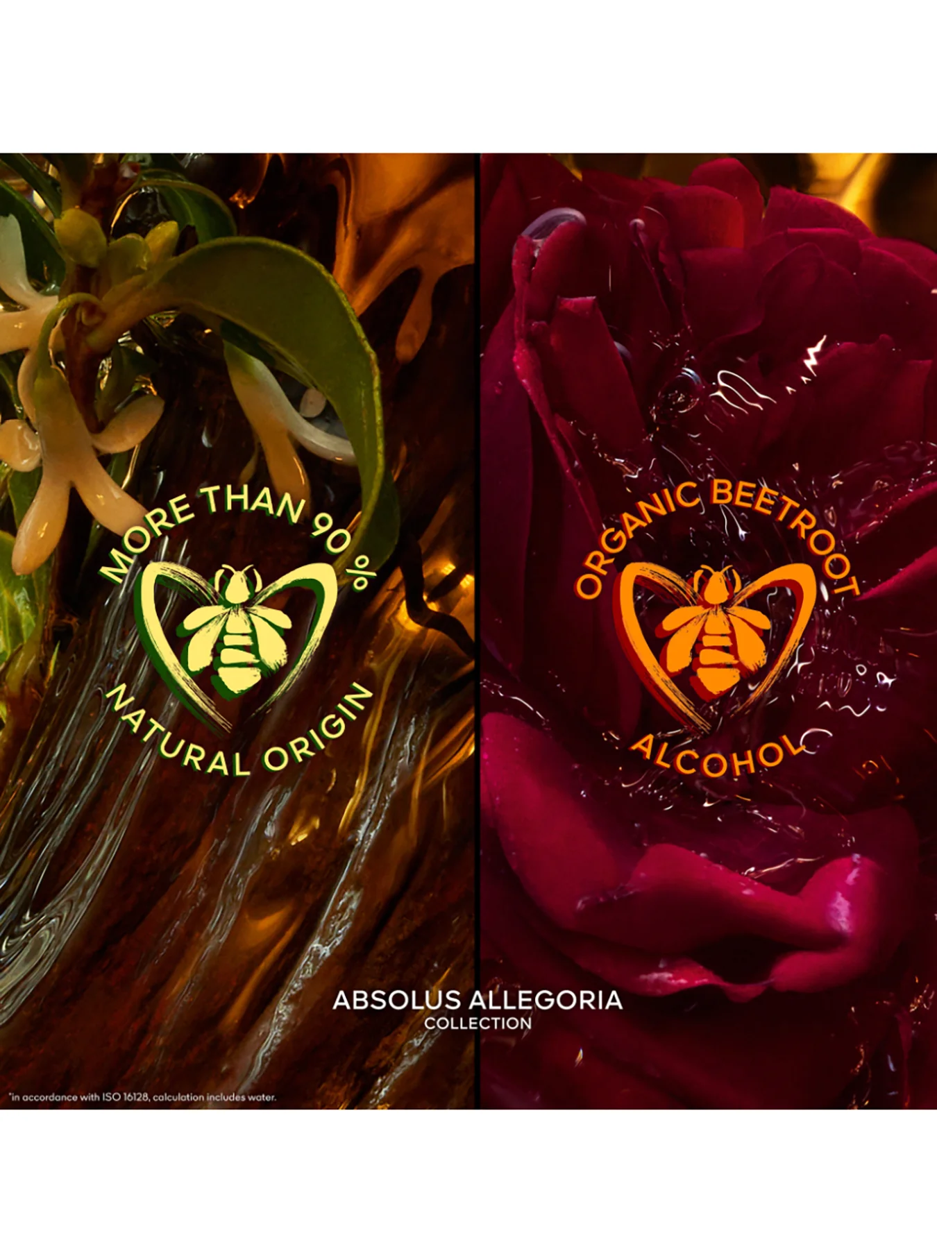 Absolus Allegoria Rose Amira Eau de Parfum - Image 3