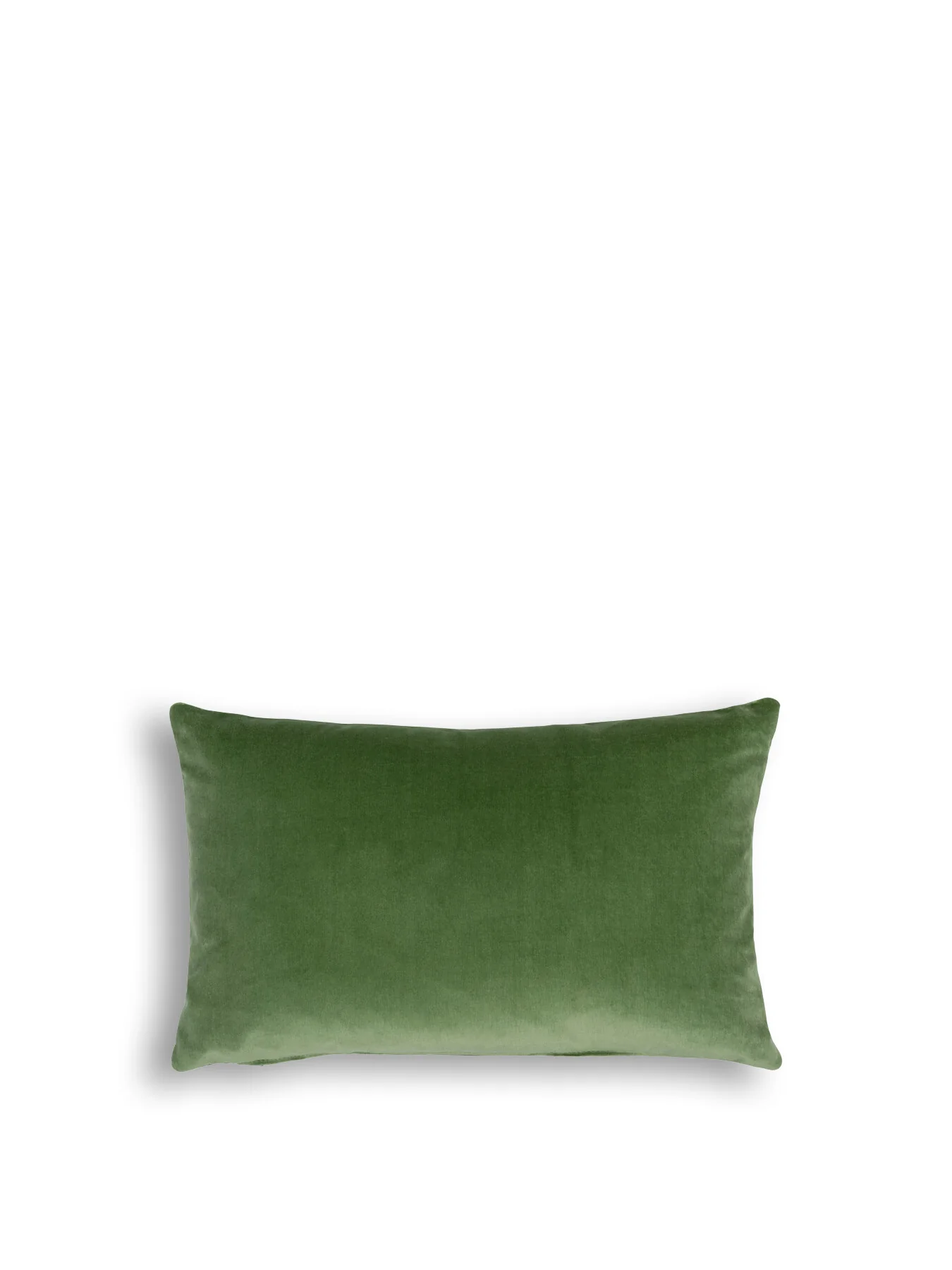 Velvet Cushion