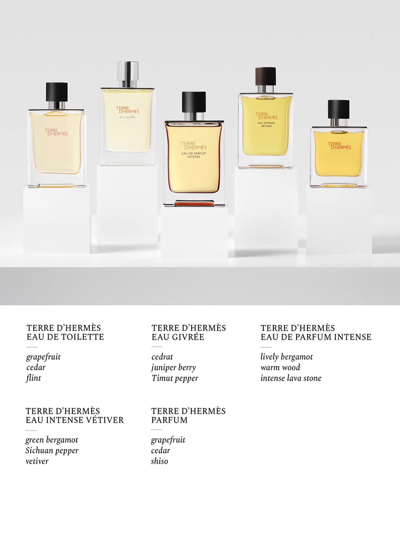 Terre d'Hermès Eau de Parfum Intense 50ml - Image 6