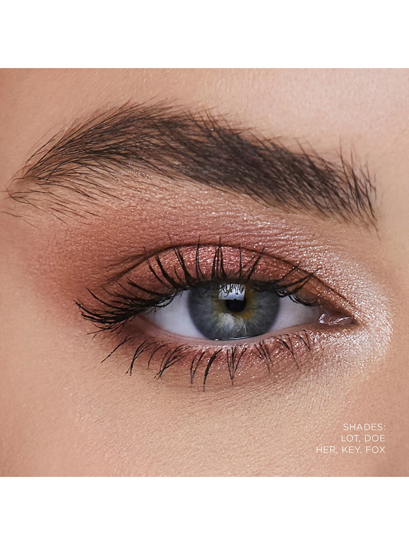 Curator Eyeshadow - Image 58