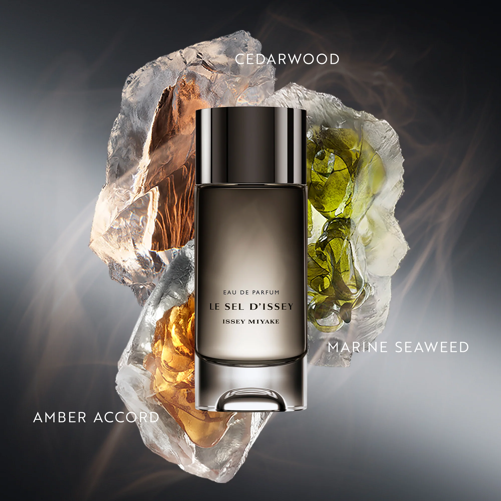 Le Sel d'Issey Eau de Parfum 50ml - Image 2