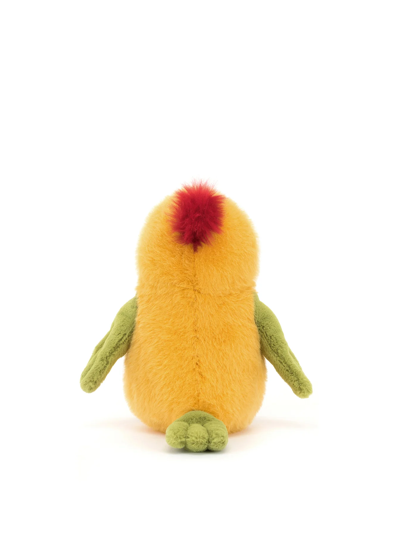 Budgeby Parrot - Image 3