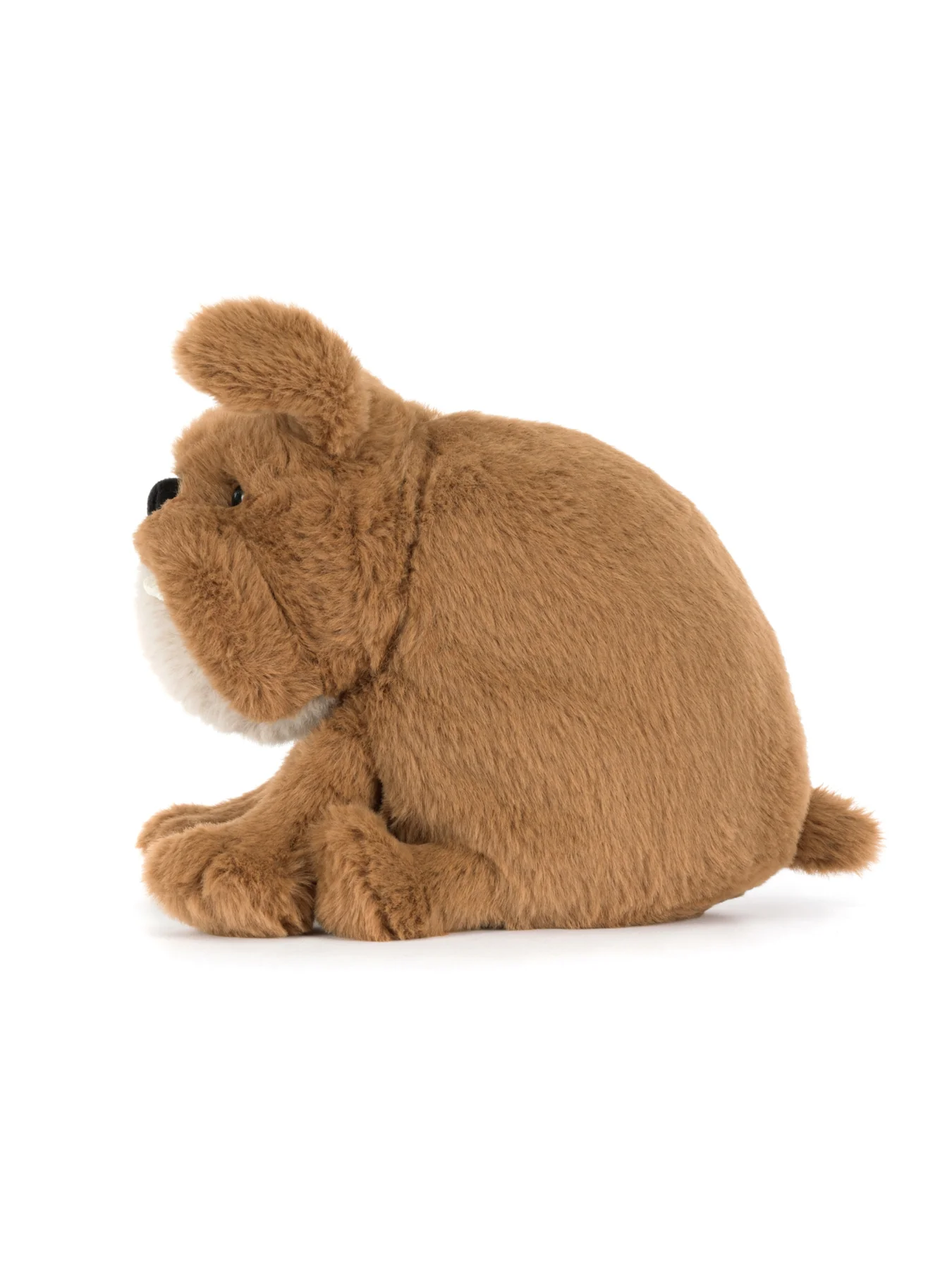 Derreck Dog - Image 3