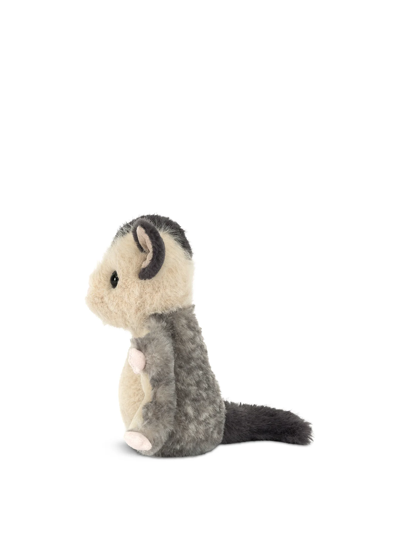 Lolly Sugar Glider - Image 2
