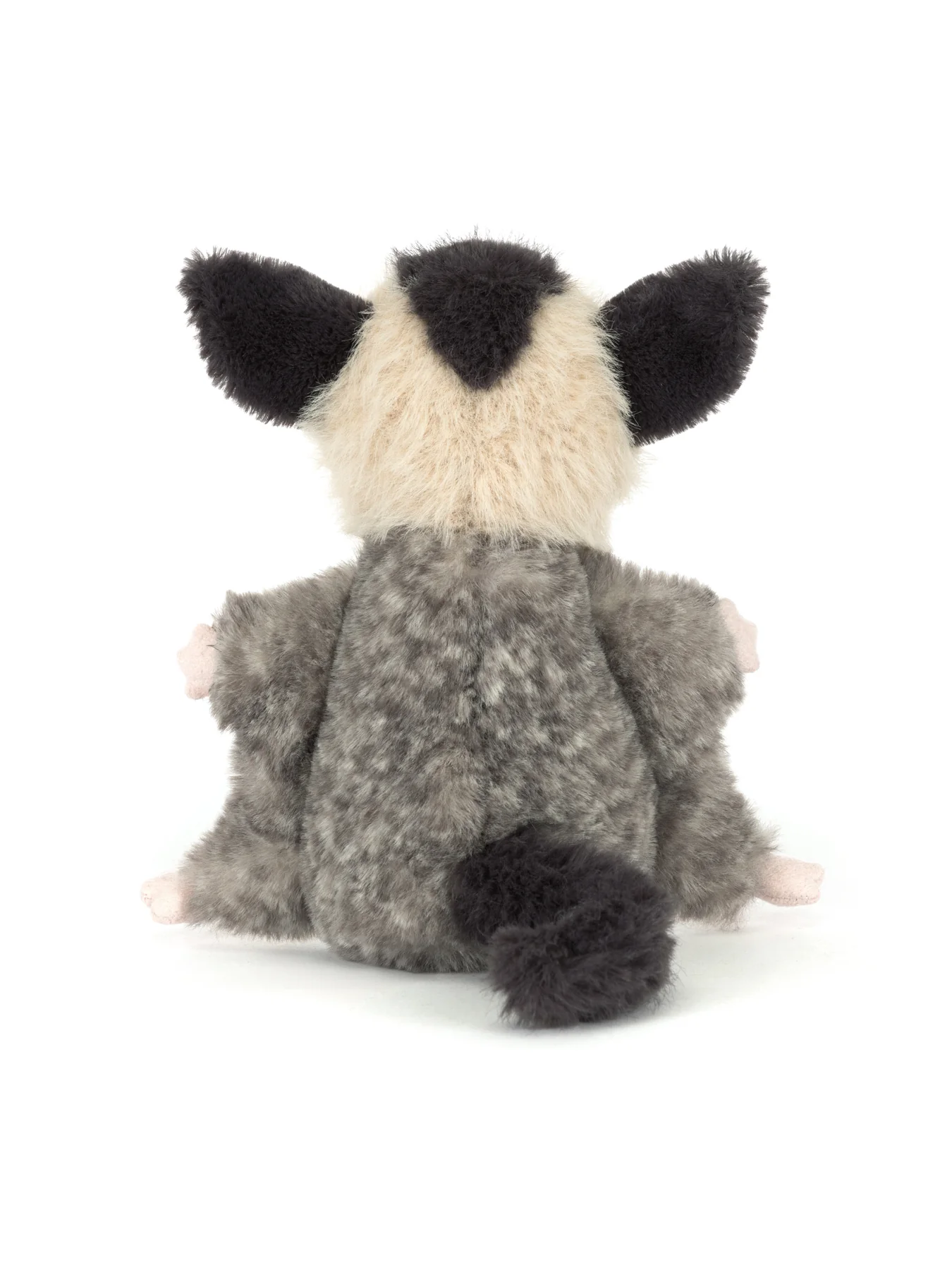 Lolly Sugar Glider - Image 3