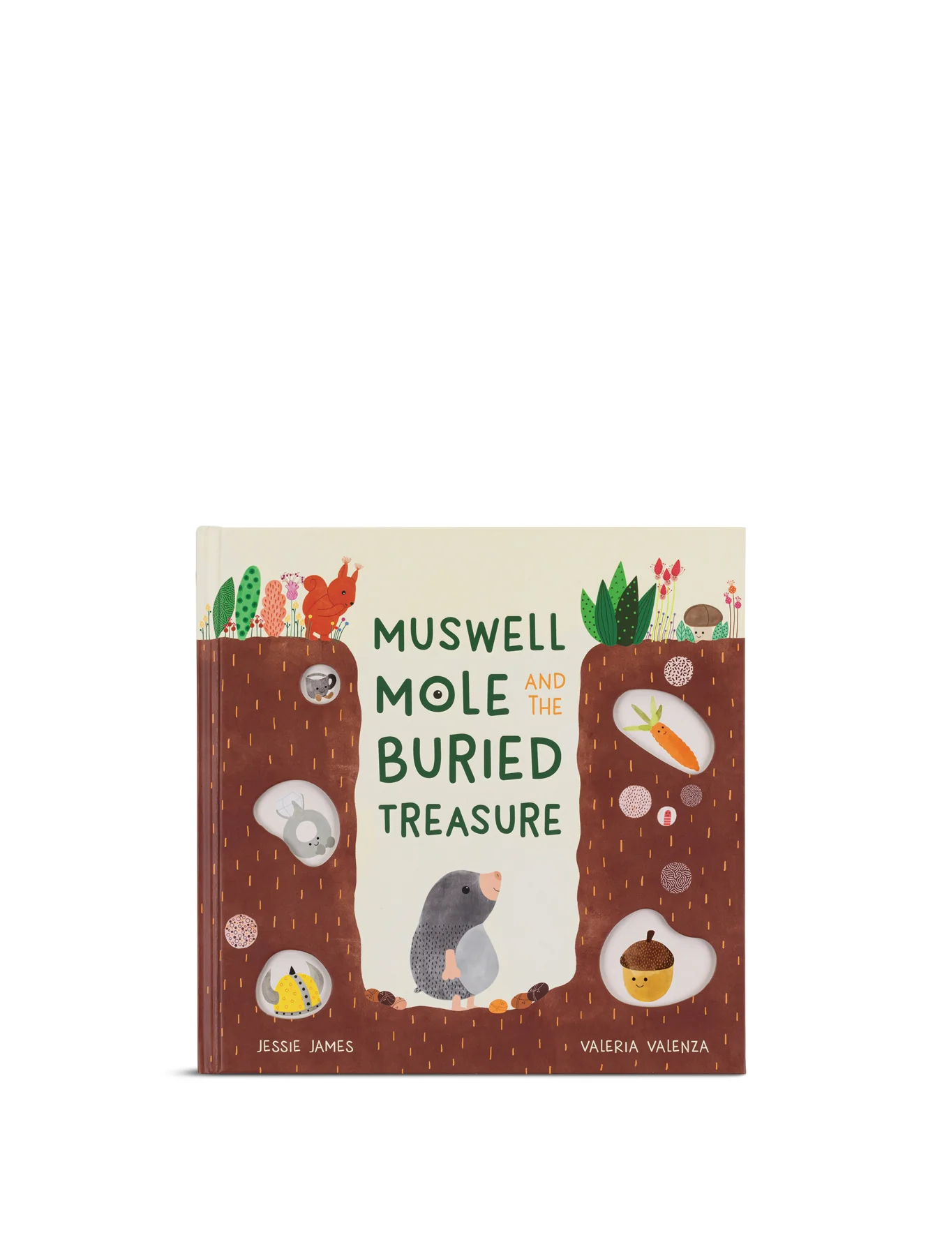 Muswell Mole and the Buried Treasure Book
