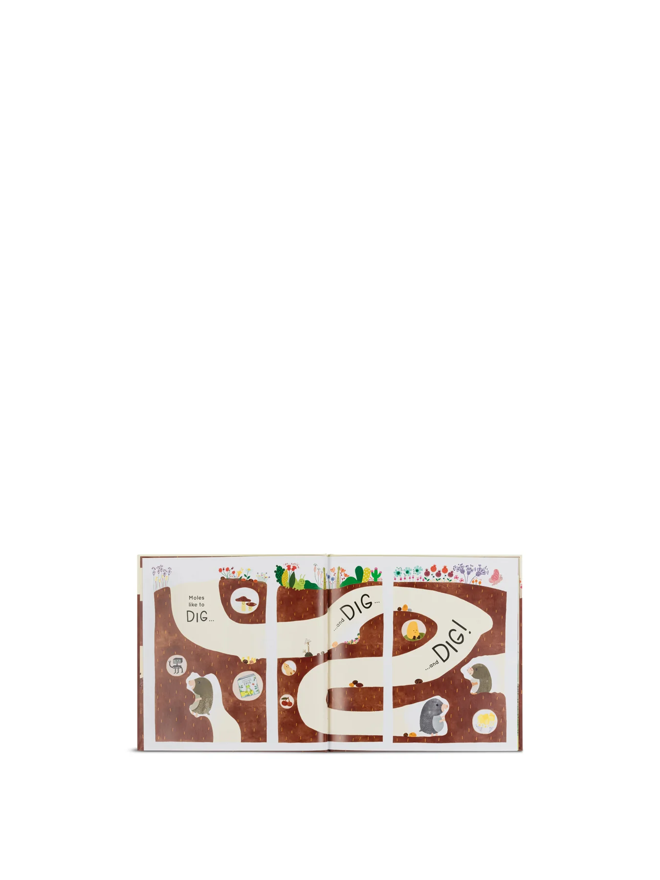 Muswell Mole and the Buried Treasure Book - Image 2