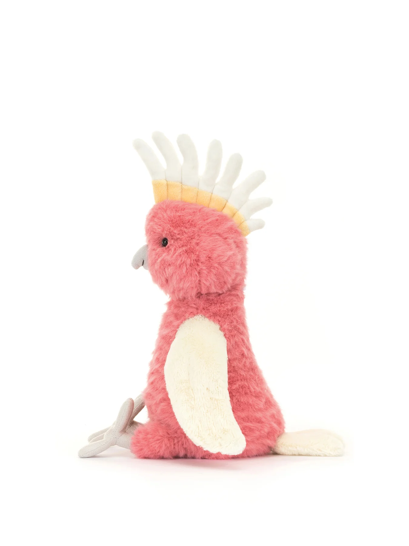 Squawkatoo - Image 2
