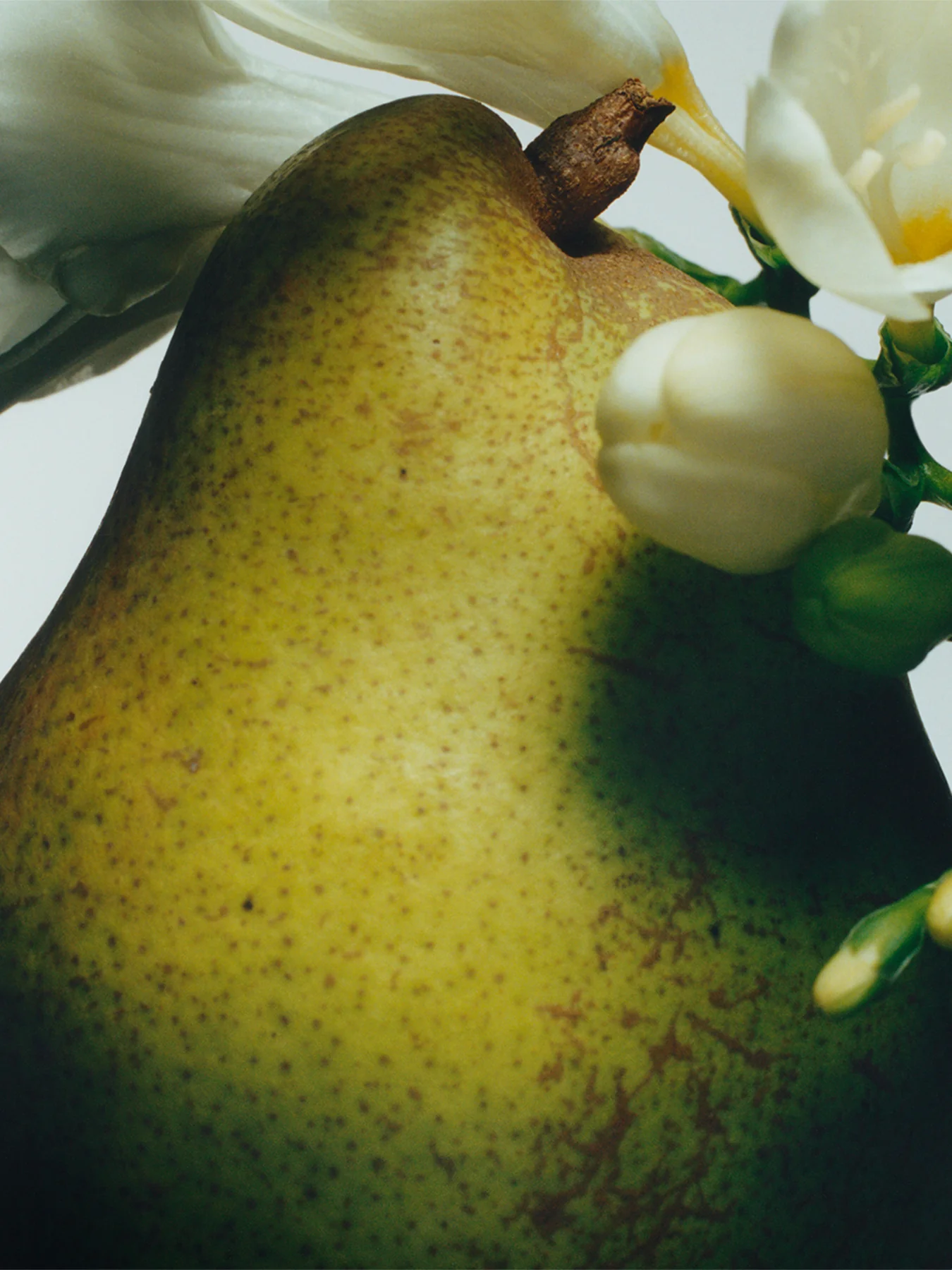 English Pear & Freesia Diffuser Refill - Image 2