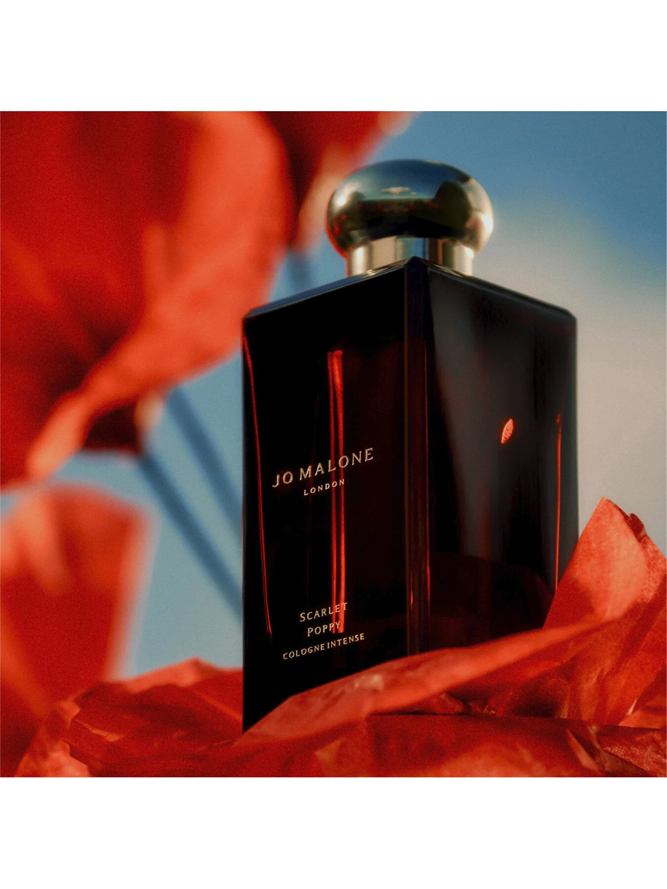 Scarlet Poppy Cologne Intense 50ml - Image 4