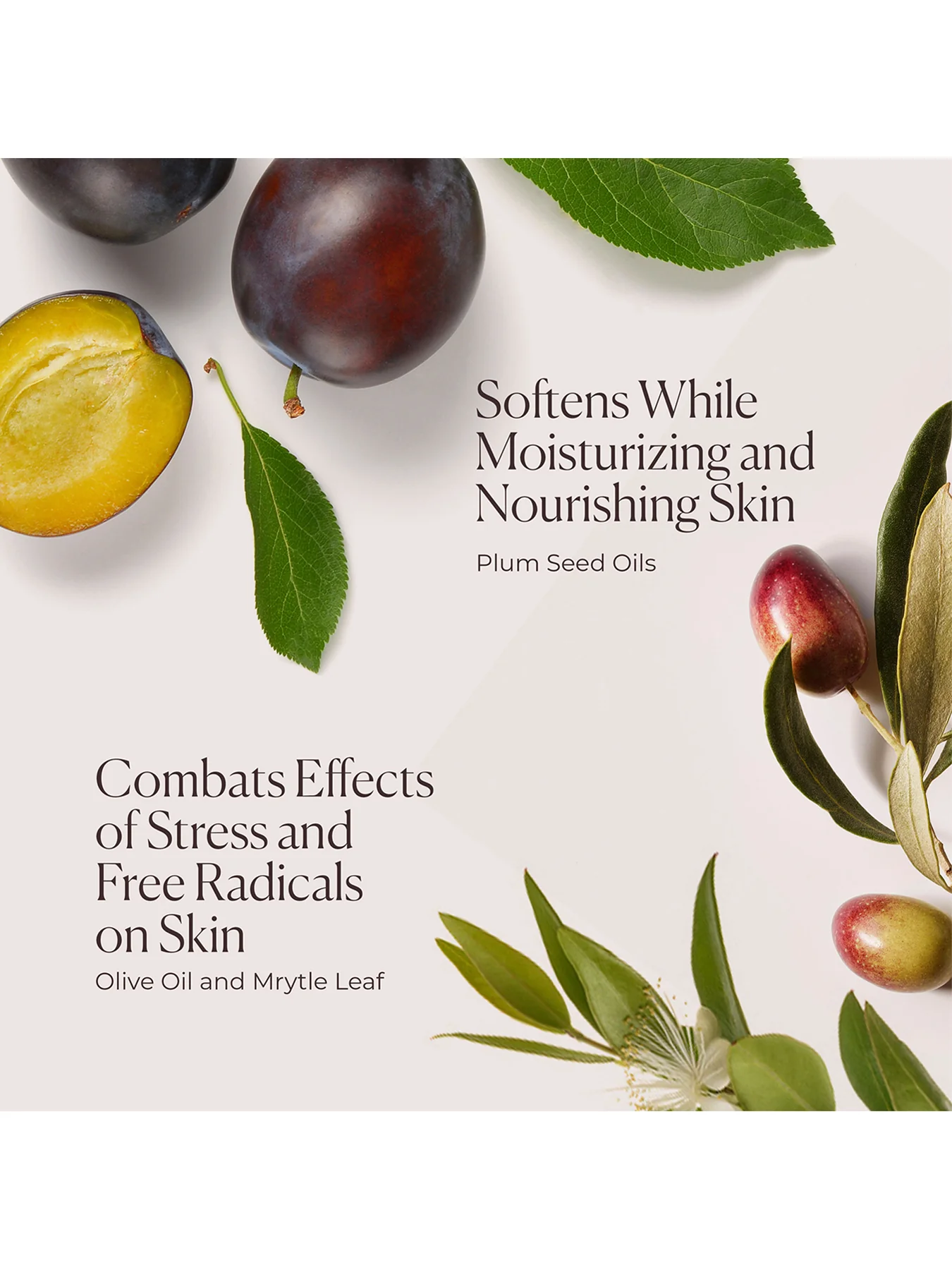 Hydrating Body Wash - Image 7
