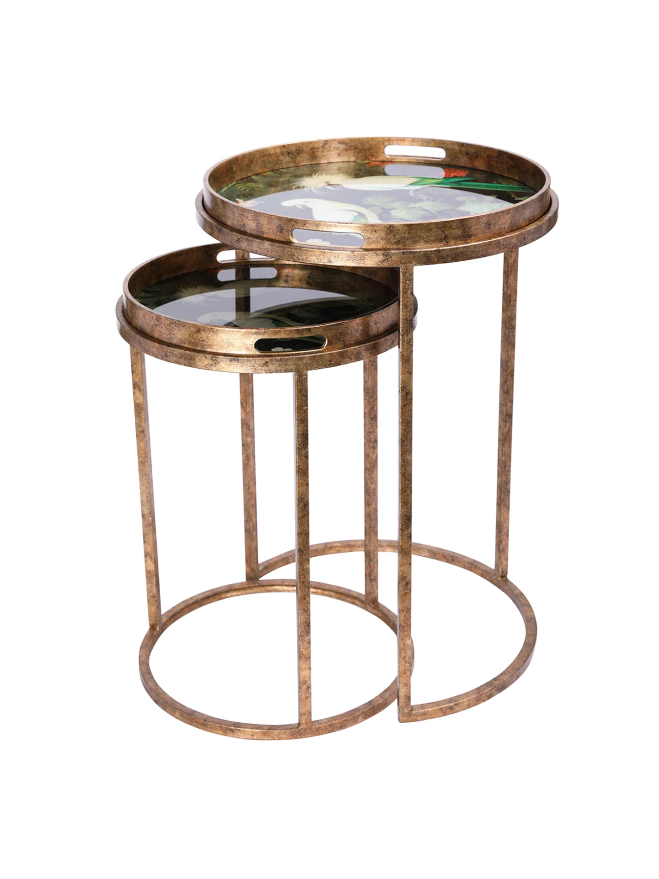 Tropical Birds Tray Tables Set of 2 Gold