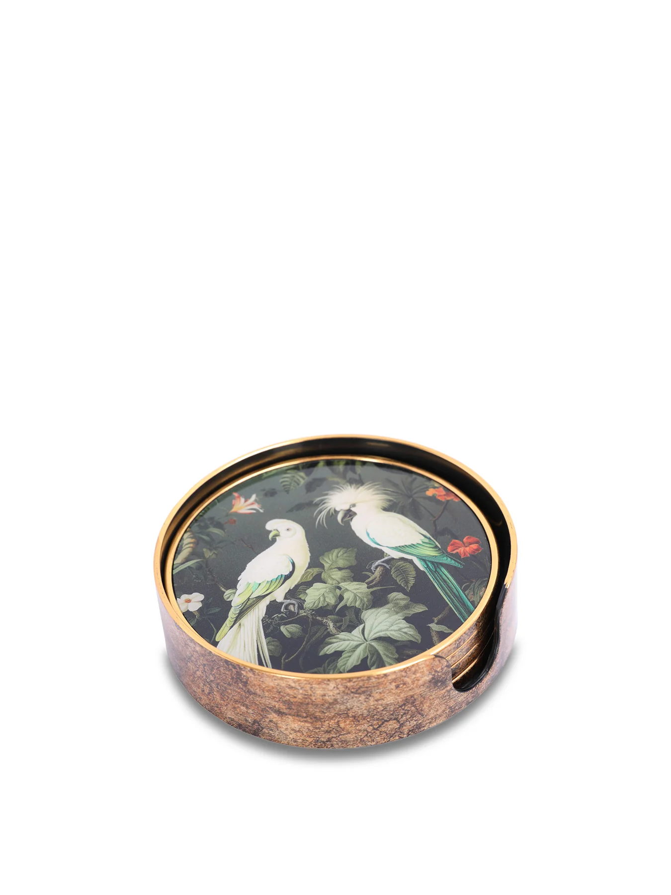 Tropical Birds Coaster Set