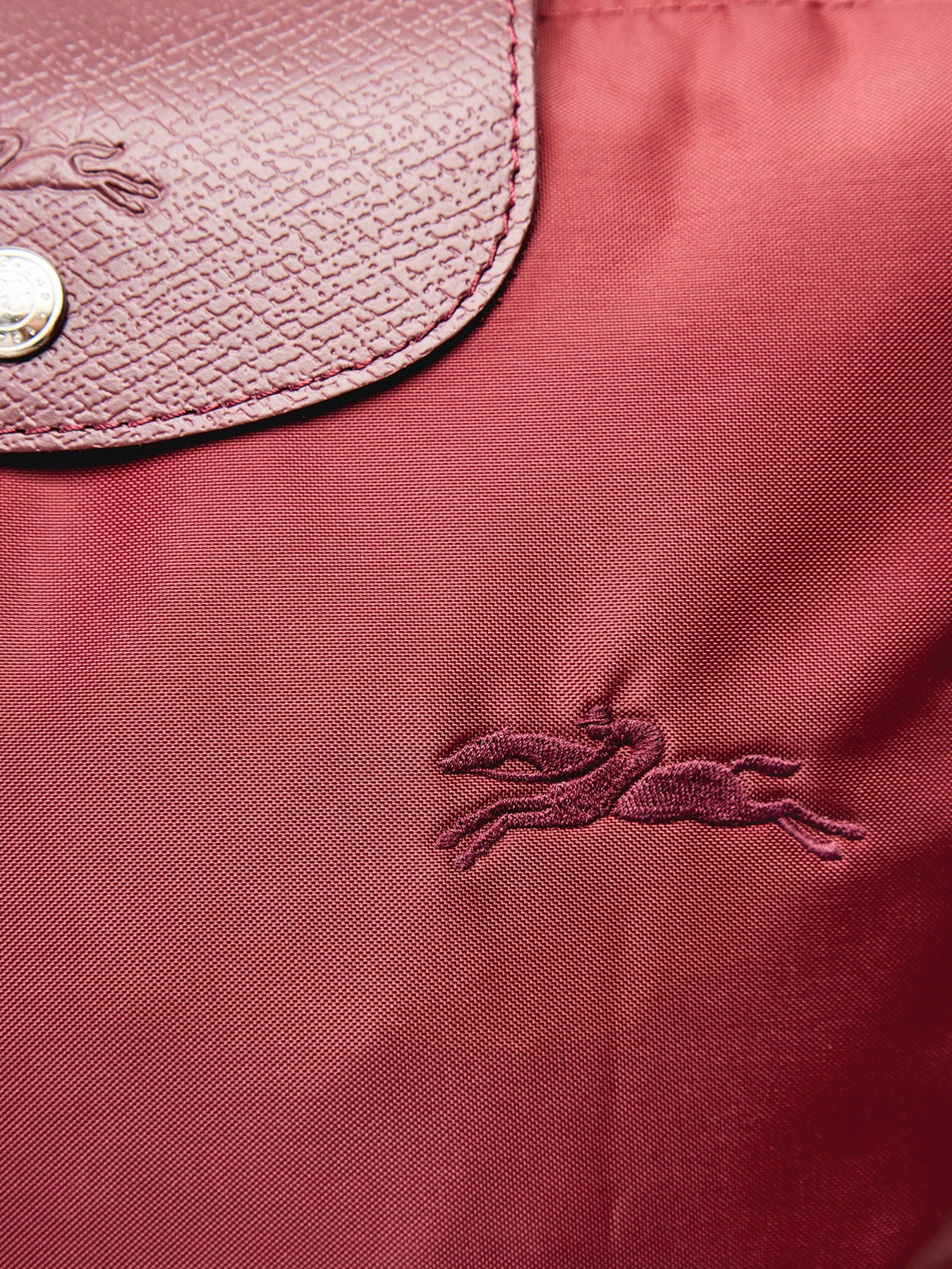 Le Pliage Green Medium Backpack Pomegranate Canvas - Image 5