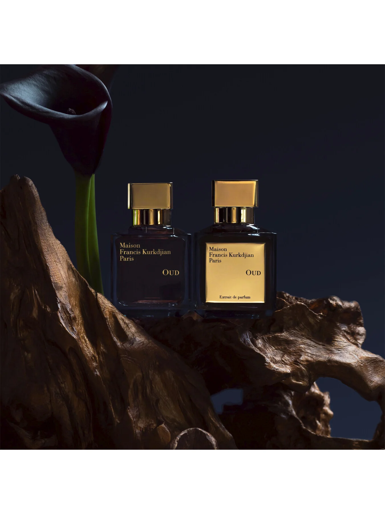 Oud Eau de Parfum 35ml - Image 5