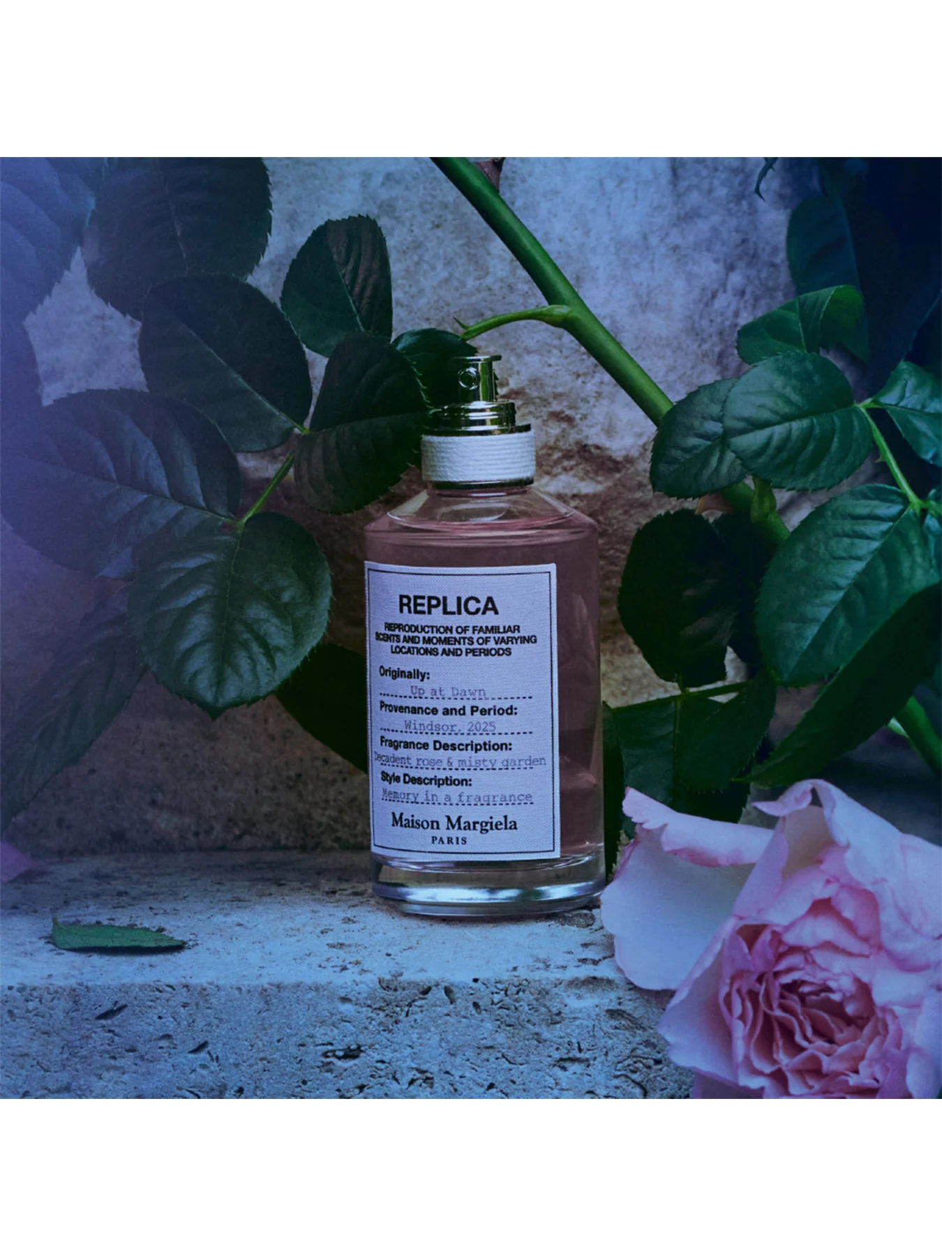 Replica Up At Dawn Eau de Toilette 100ml - Image 4