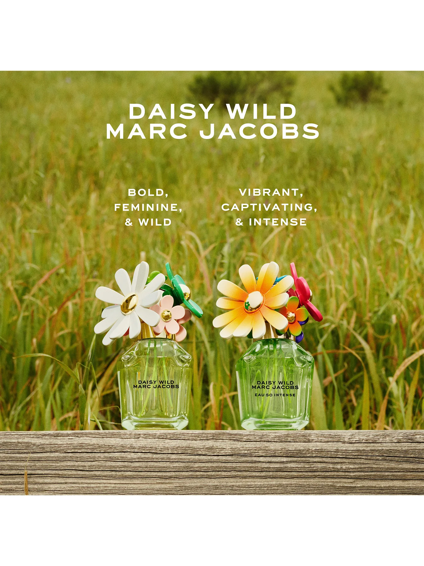 Daisy Wild Eau So Intense Eau de Parfum 50ml - Image 4