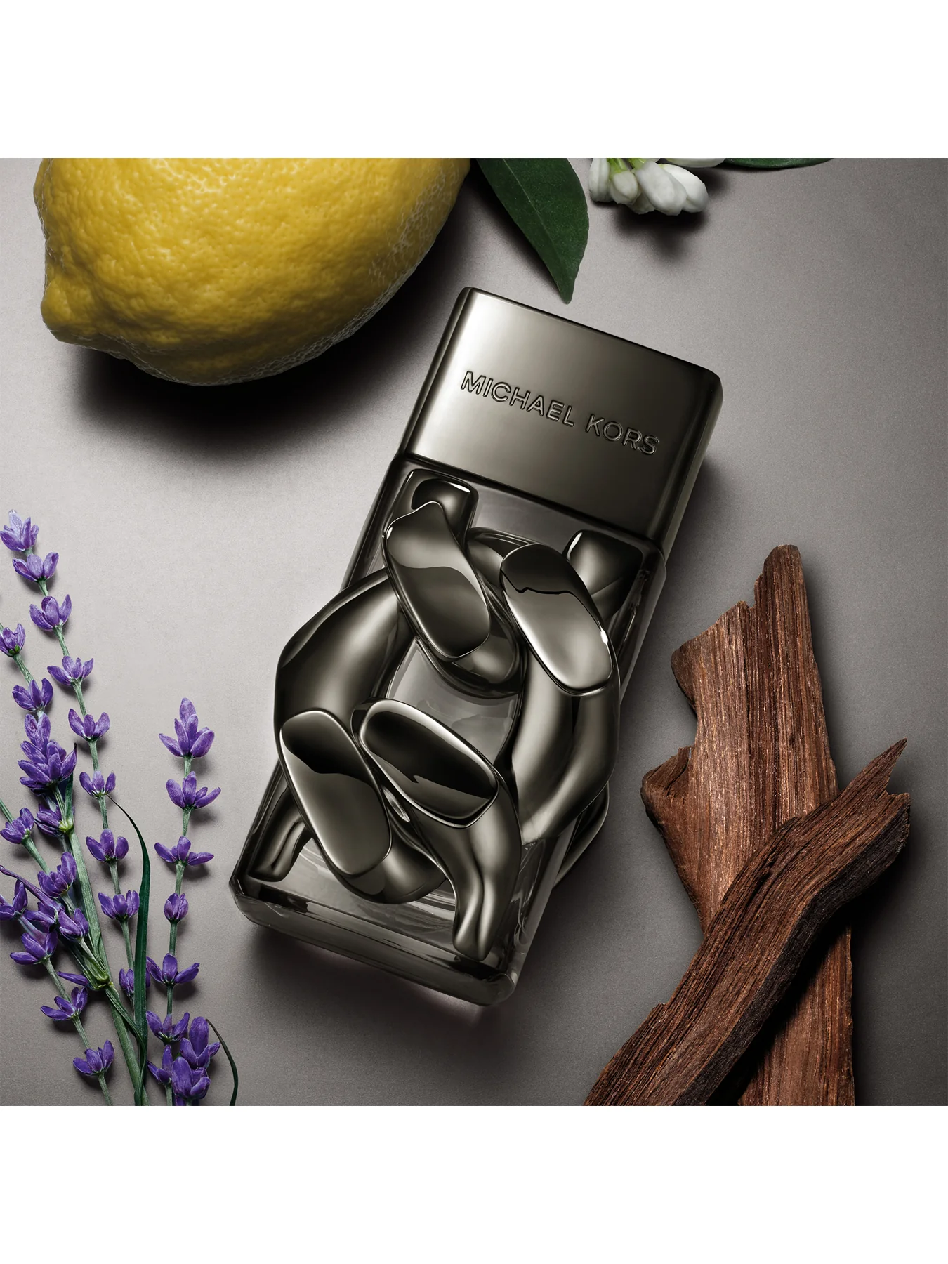 Michael Kors Pour Homme Absolu Eau De Parfum 100ml - Image 2