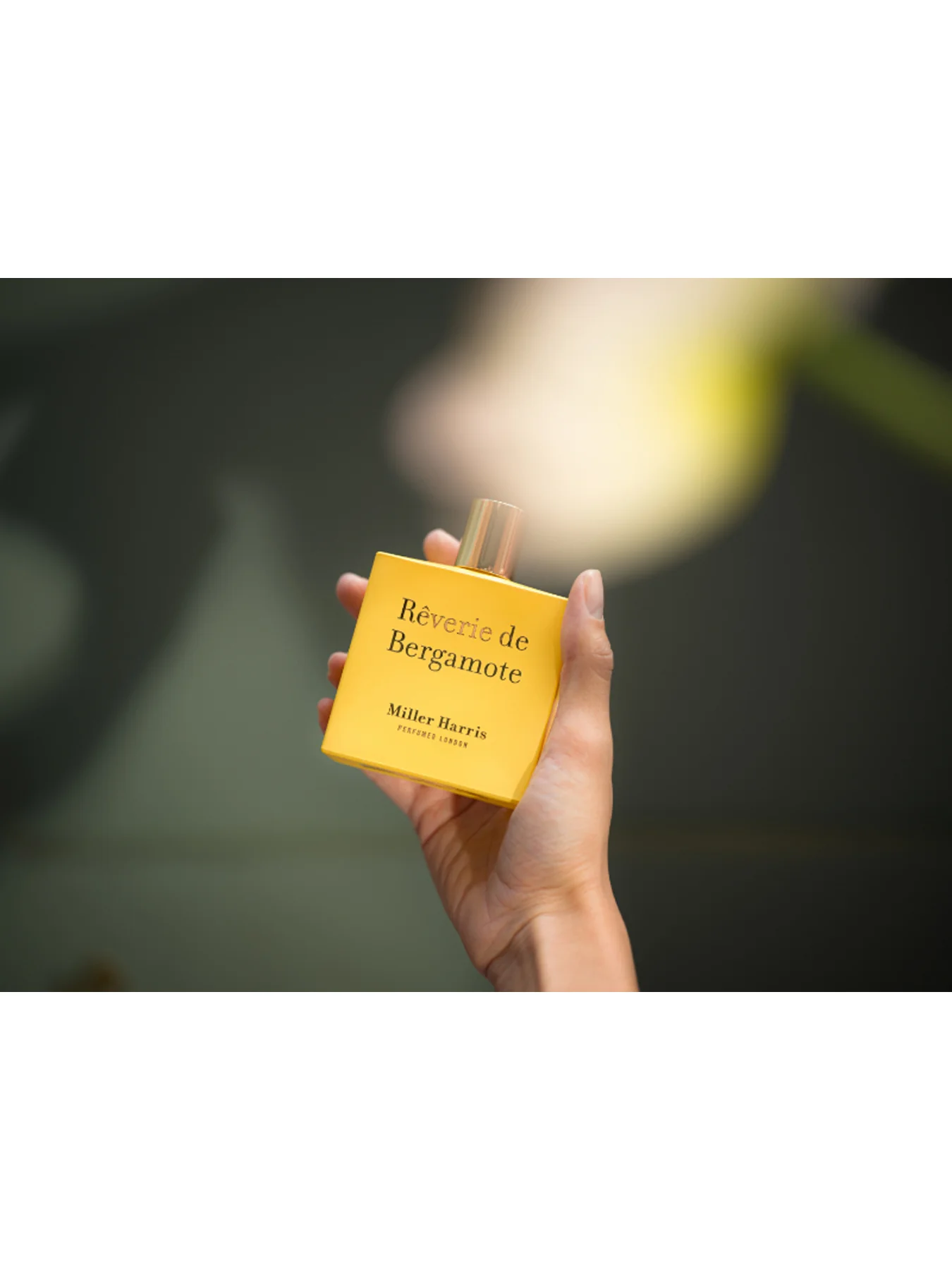 Reverie De Bergamote Eau de Parfum 50ml - Image 4