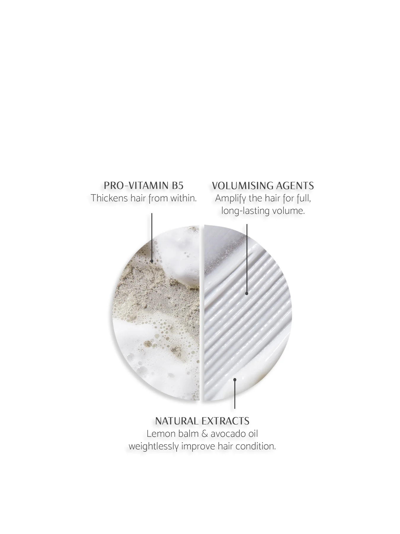 Volume Shampoo & Conditioner Duo - Image 2