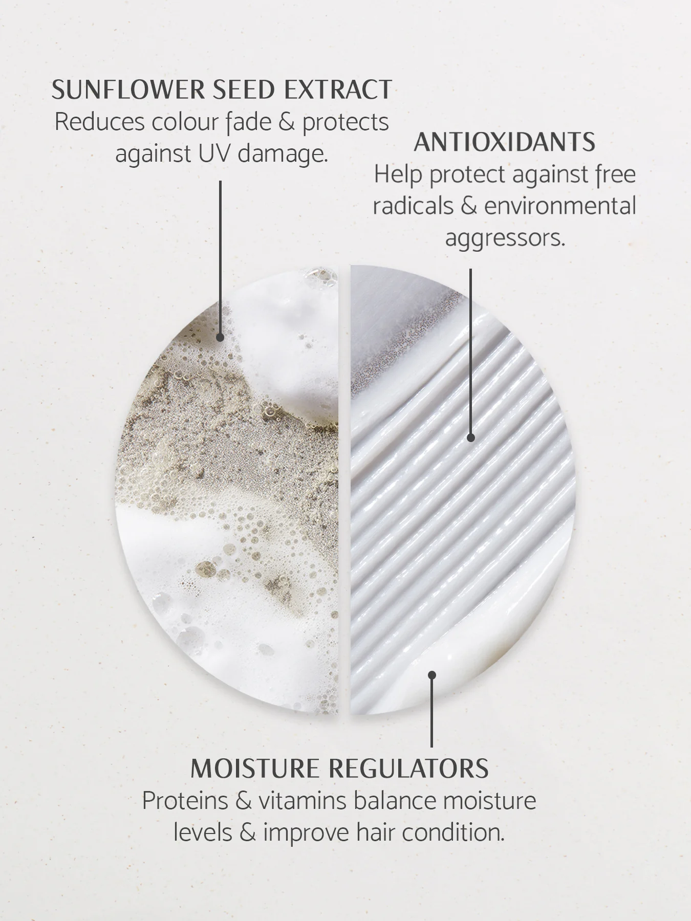 Wonder Shampoo & Conditioner Duo - Image 2