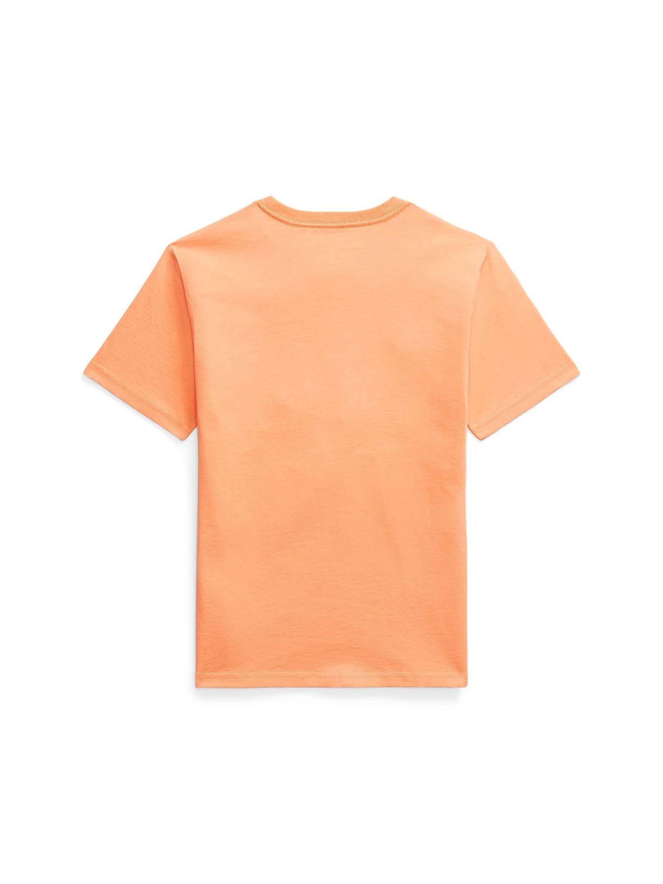 Cotton Jersey Crewneck T-Shirt - Image 4