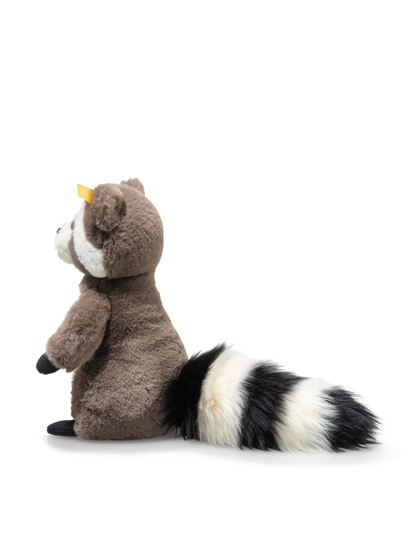 Pedro Raccoon - Image 2