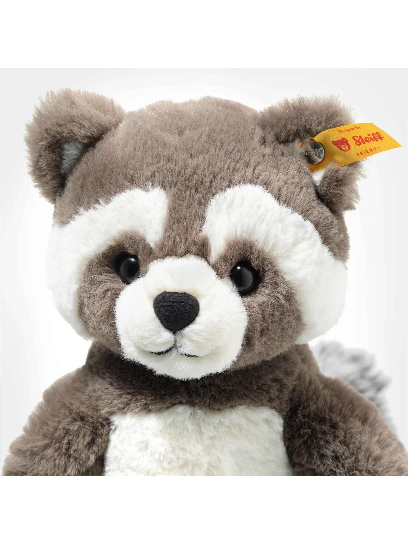 Pedro Raccoon - Image 3