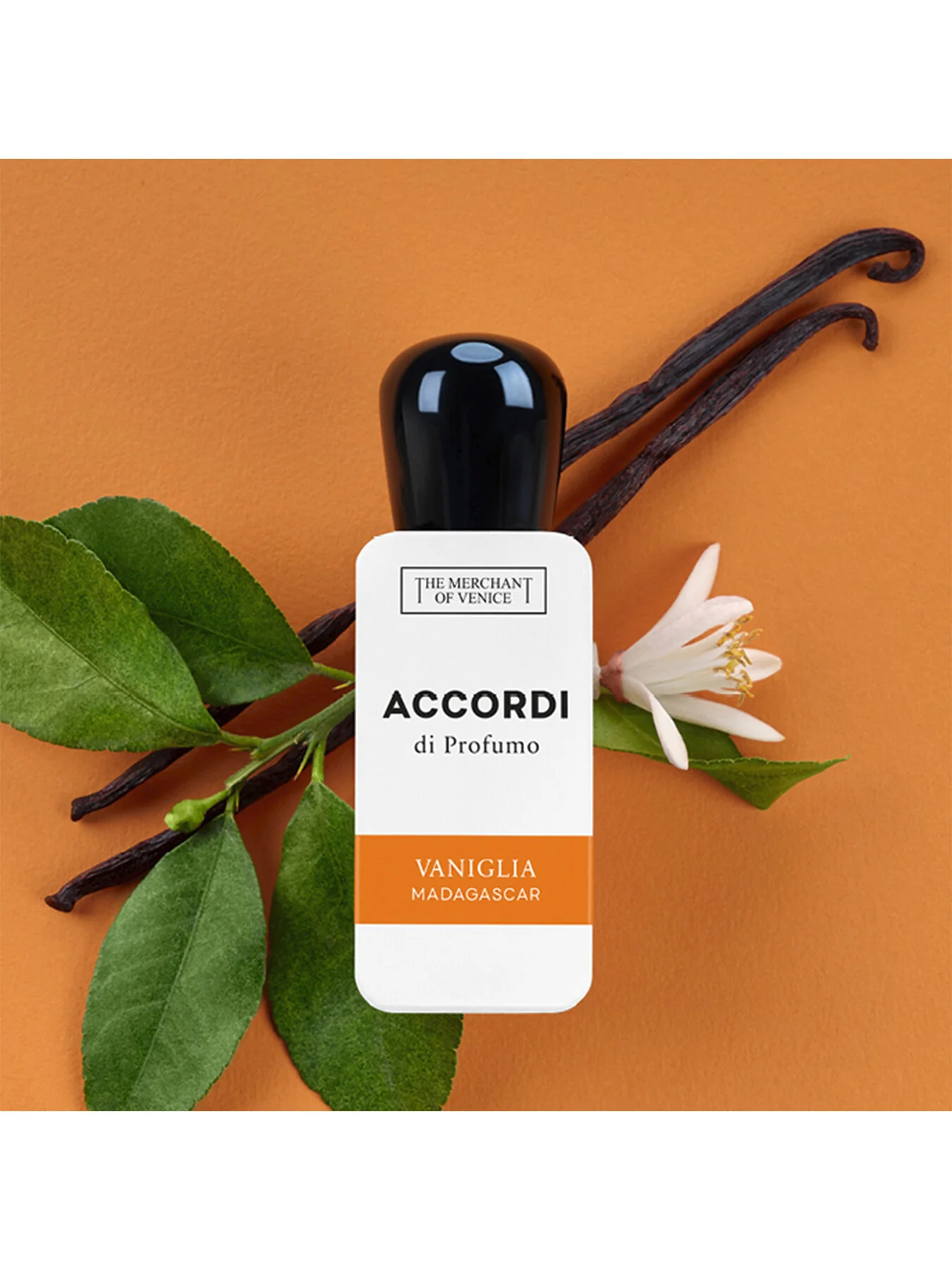 Accordi Di Profumo Vaniglia Madagascar Eau de Parfum 30ml - Image 3